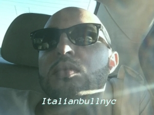 Italianbullnyc