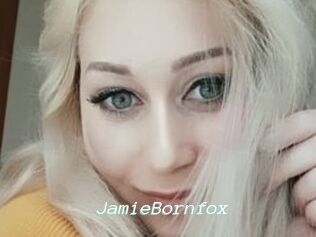 JamieBornfox
