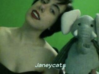 Janeycats