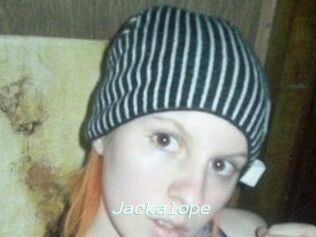 Jackalope