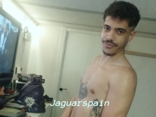 Jaguarspain