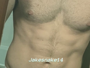 Jakesnake14