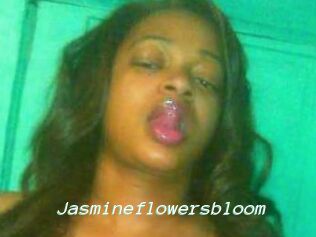 Jasmineflowersbloom