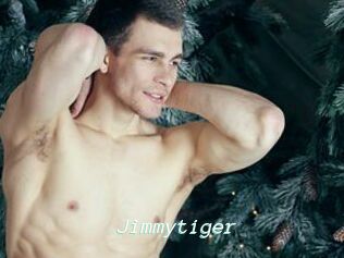 Jimmytiger
