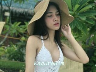 KaguraSim