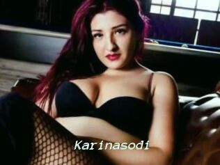 Karinasodi