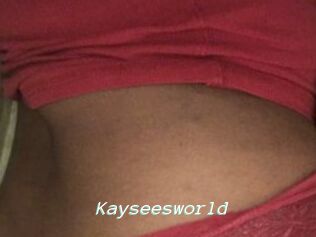 Kayseesworld