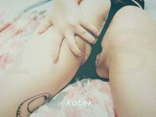 Kotek