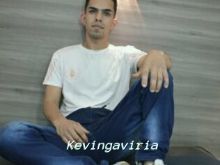 Kevingaviria