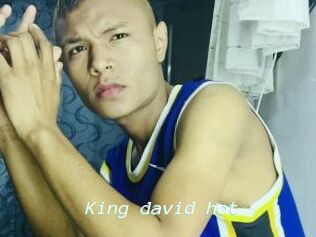 King_david_hot