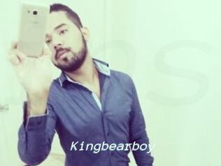 Kingbearboy