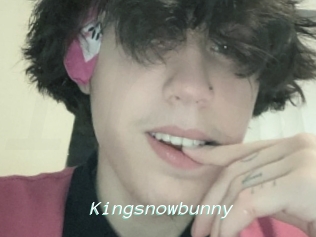 Kingsnowbunny
