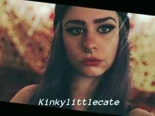 Kinkylittlecate