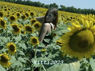 Kitti2023