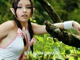 Kittycarpert