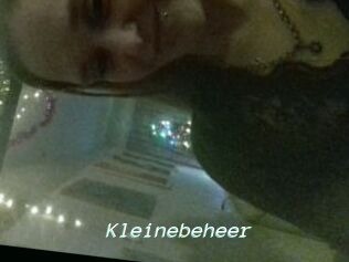 Kleinebeheer