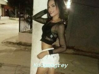 Kodamagrey