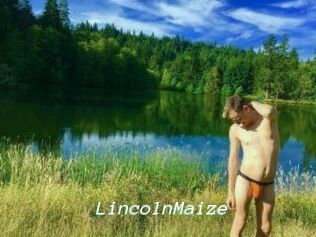 Lincoln_Maize