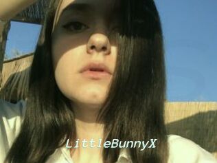 LittleBunnyX