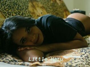 Little_Haru