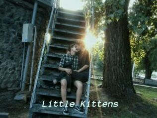 Little_Kittens