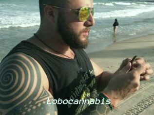 Lobocannabis