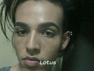 Lotus
