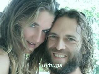 Luvbugs