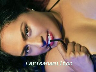 Larisahamilton