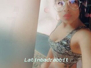 Latinbadrabbit