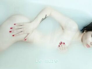 Le_mure