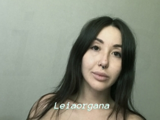 Leiaorgana