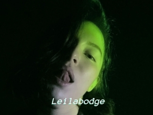 Leilabodge