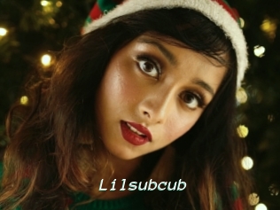Lilsubcub