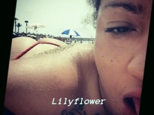 Lilyflower
