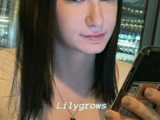 Lilygrows