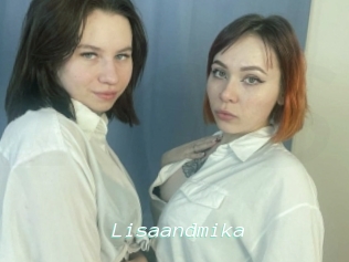 Lisaandmika