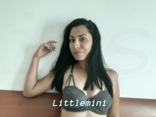 Littlemini