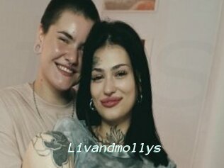 Livandmollys