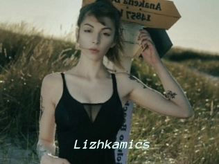 Lizhkamics