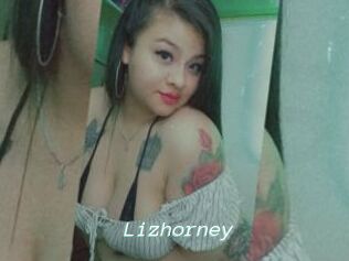 Lizhorney