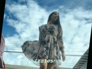 Lizziesnow