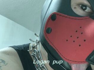 Logan_pup