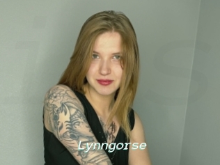 Lynngorse