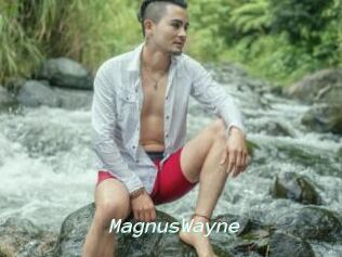 MagnusWayne