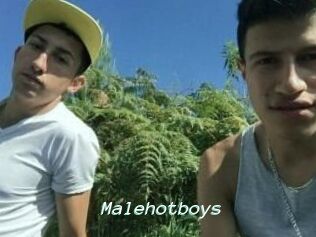 Malehotboys