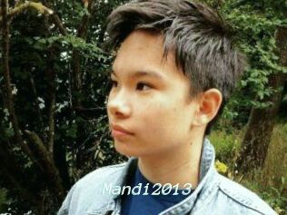 Mandi2013