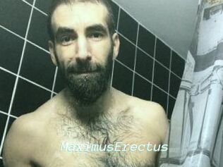 MaximusErectus