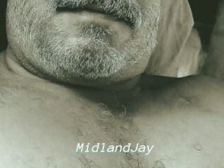 MidlandJay