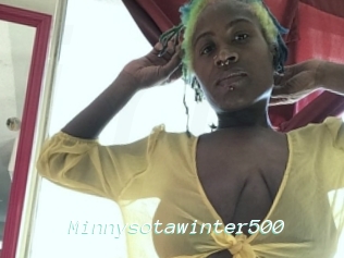 Minnysotawinter500